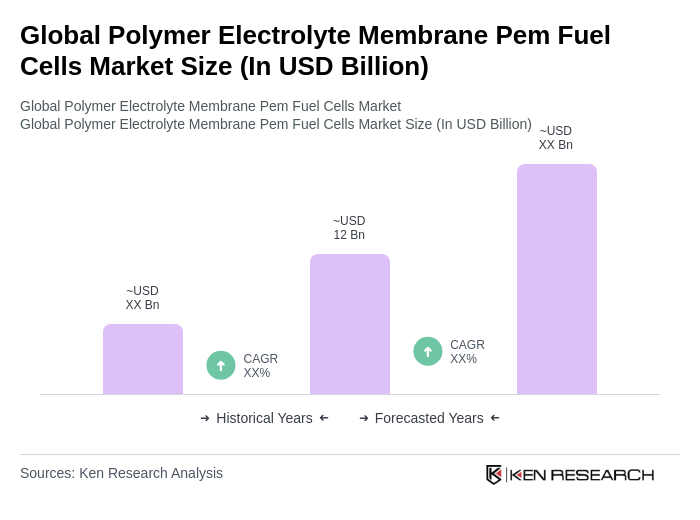 Global Polymer Electrolyte Membrane Pem Fuel Cells Market Size